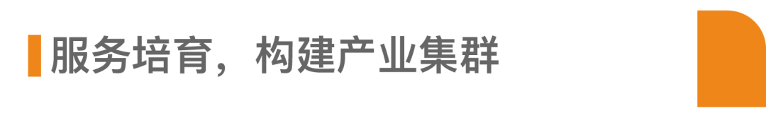 培育主导产业的重要措施